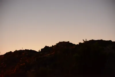 DSC_0748 (Large).JPG